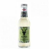 Ginger Beer ALPEX cl.20x24 Vetro Perdere